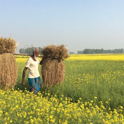 Farmer 
