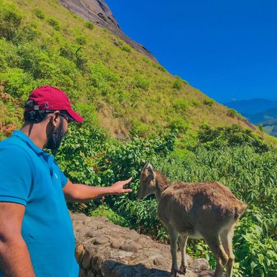 Eravikulam National Park