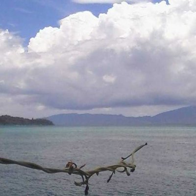 Laut