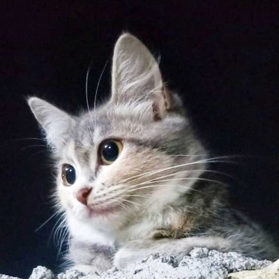 Si Gembul