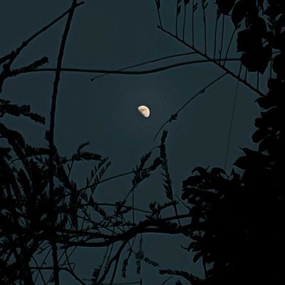 moon photography 