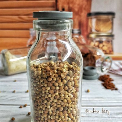 CORIANDRUM SATIVUM