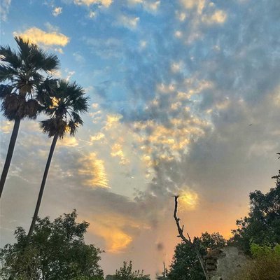 Pov - Nephophile