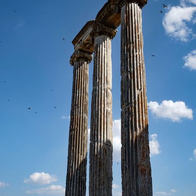 The temple of Zeus🏛️