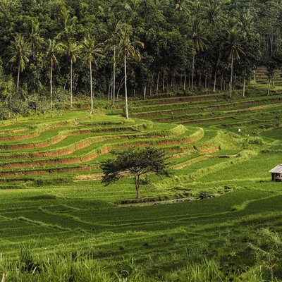  "Pesona teras siring mereje"