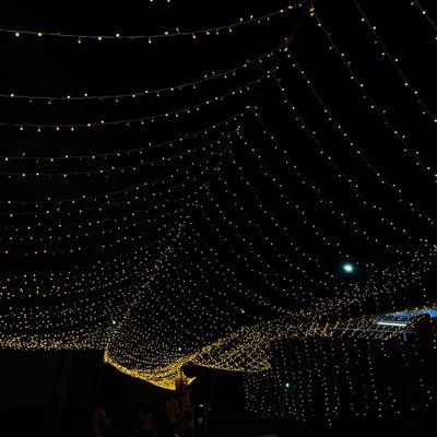 lights 