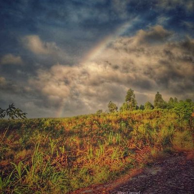 🌈🌤️🌤️