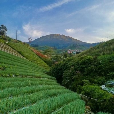 negeri loncang