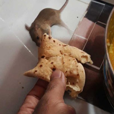 LUNCH WITH A FRIEND 