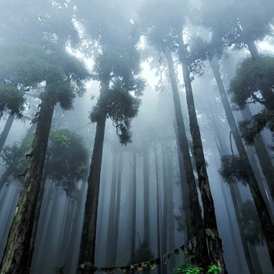 Lepchajagat, Darjeeling 