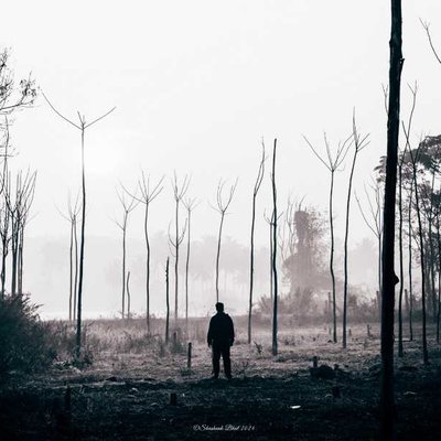 Spooky Landscape