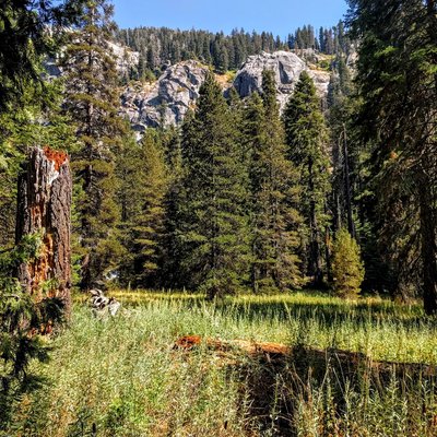 Sequoia National Forest