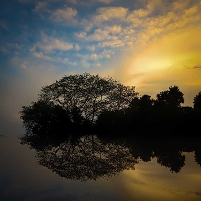 Nature photography