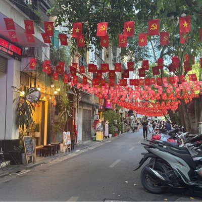 🇻🇳