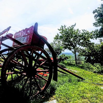 Finca Artonomista 