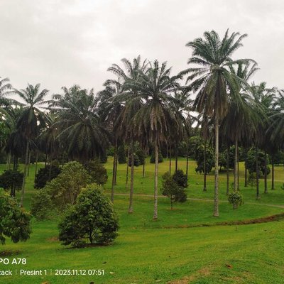Taman Botani Putrajaya 