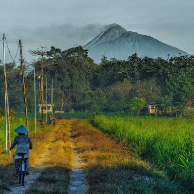 Pematang Sawah Dan Gunung