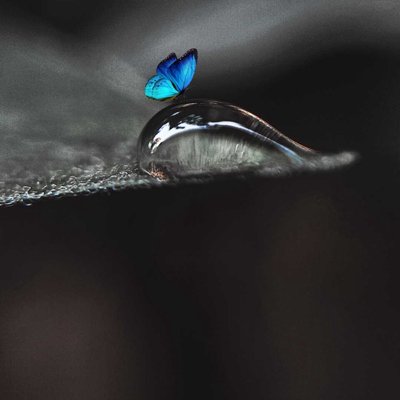 Macro..!