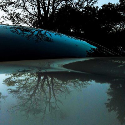we seek beauty in everything...🚗🌳📸