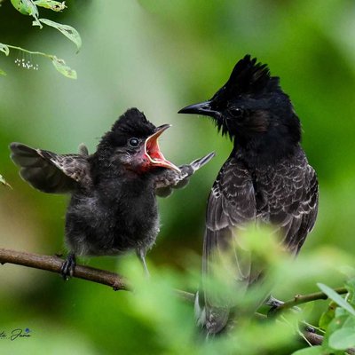 mother love 💞💞
