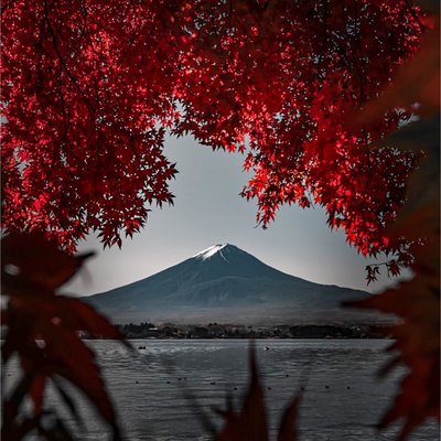 good autumn vibes🤩