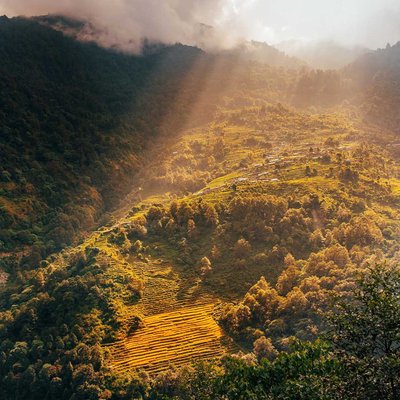 Morning Light 
