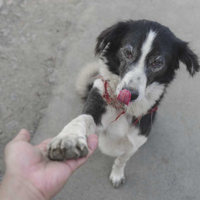 HI 5 