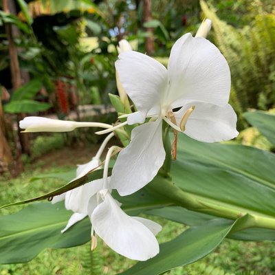📍Reserva Ecológica Lomas de Banao 
