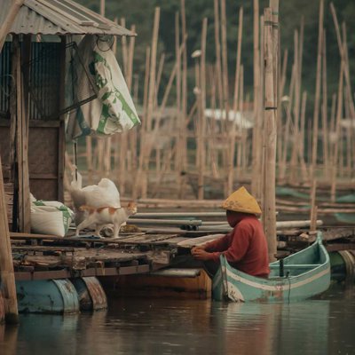 Kucing dengan nelayan