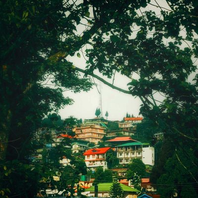 Beautiful Mirik