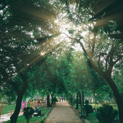 Sun Behind 