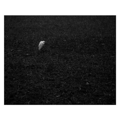 minimal 