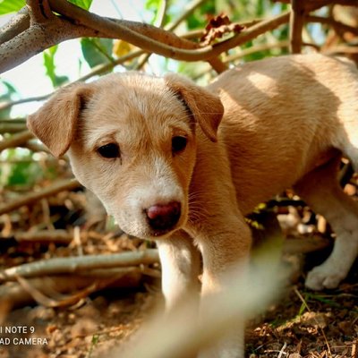 How innocent😍