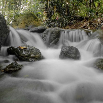 Arus Sungai