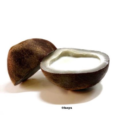 Santan kelapa