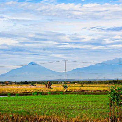 Alam Indonesia yang indah. 