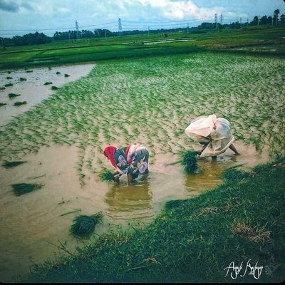 beauty of India 🌅