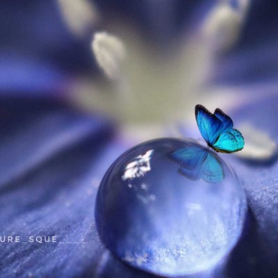 🦋