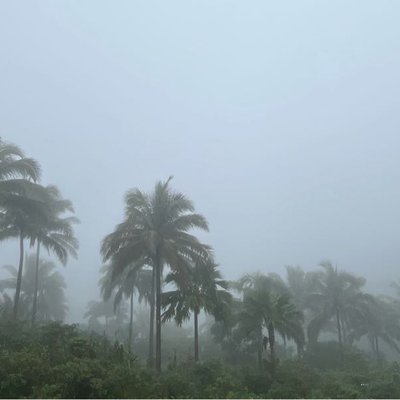 Foggy Weather