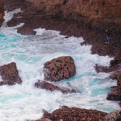Nature and Livelihood