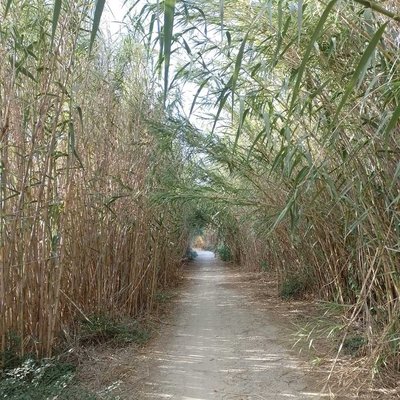 Senderos Naturales