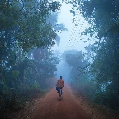 foggy morning