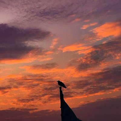silhouette ❤️