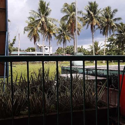 School visit