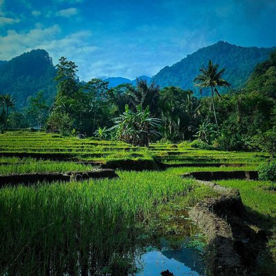 Mengintip Potensi Alam Dusun Kalikesek "Bisa Jadi Desa Wisat