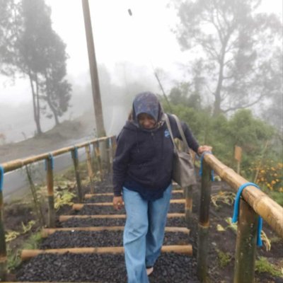 Tangga bambu