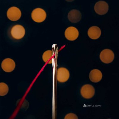 Needle