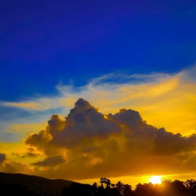 Nature Photography ❤️.