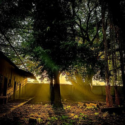 Sun Rays...!