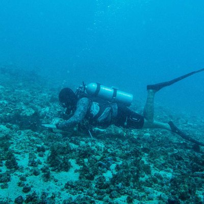 Dive spot Tanjung pamali